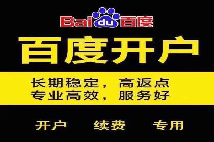 深入剖析SEM公司成功案例：数据驱动的广告策略